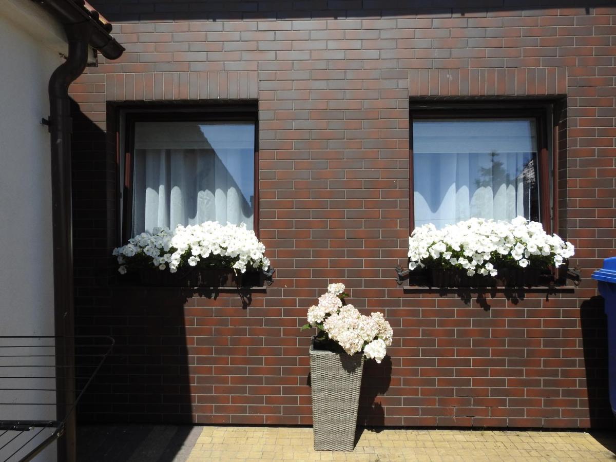 Domki U Skrzata Leba Exterior photo